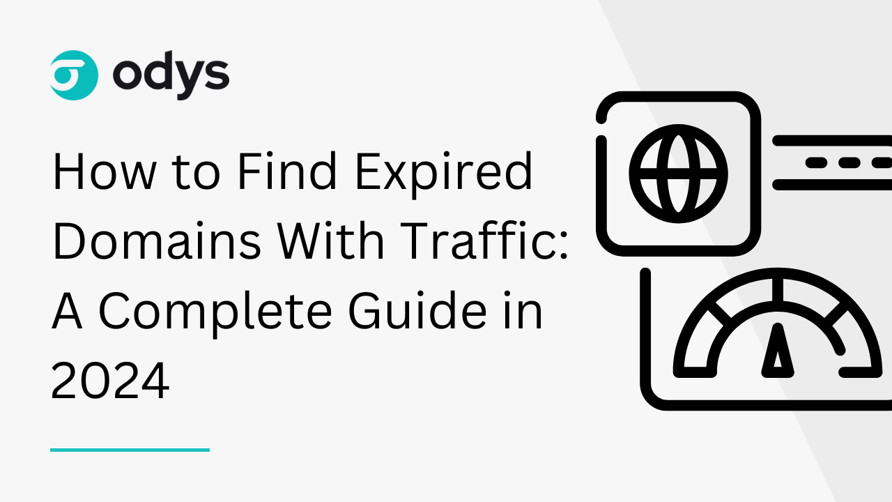 How to Find Expired Domains With Traffic: A 2023 Guide